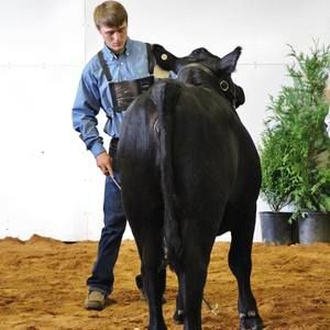 Meet your Posher, Colby